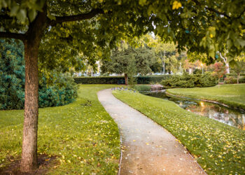 A beautiful shot of park pathway surrounded with amazing nature