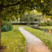 A beautiful shot of park pathway surrounded with amazing nature